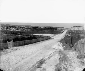 Image courtesy of the State Library of New South Wales. 